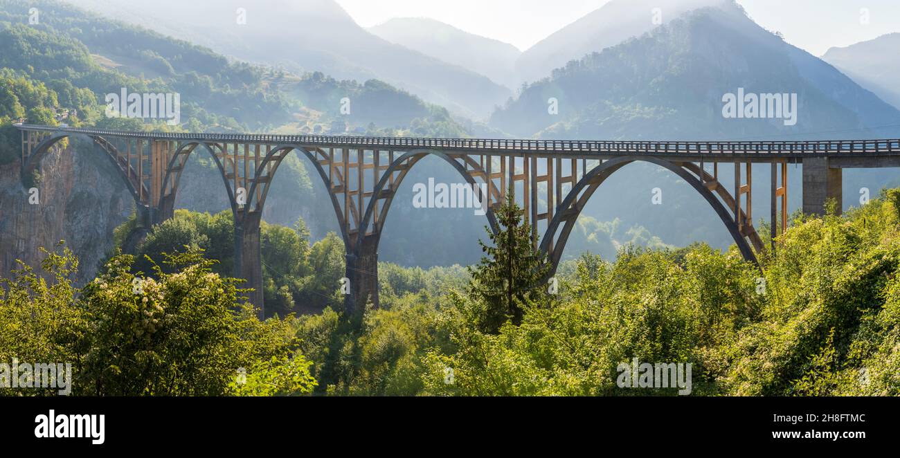 Ponte sul canyon del fiume Tara nel nord del Montenegro. Foto Stock