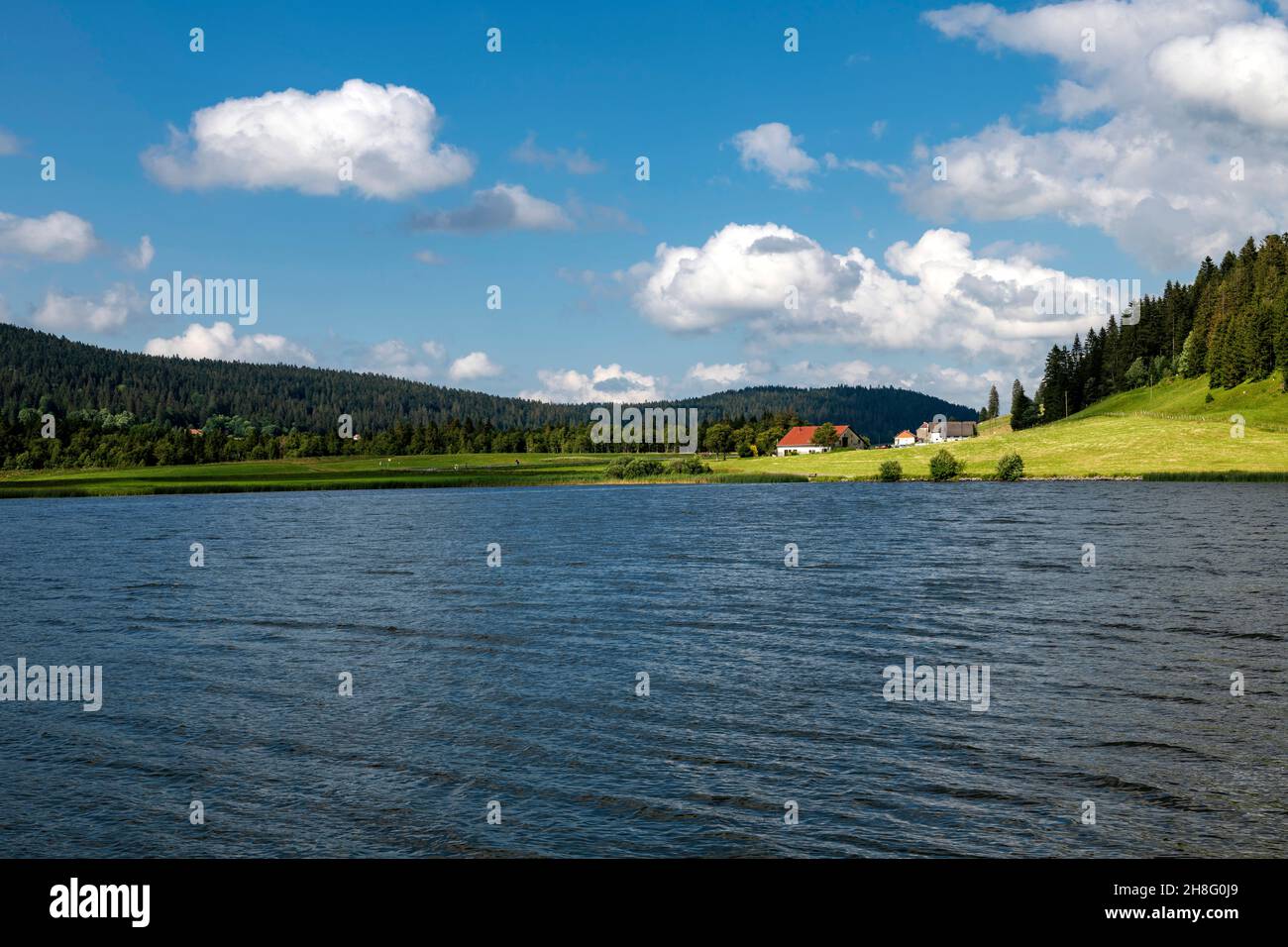 Svizzera, Suisse, Schweiz, Canton Neuchâtel, Kanton Neuenburg, Cantone di Neuchâtel, Vallée de la Brévine, Lac des Taillères, See, lago, Forêt Foto Stock