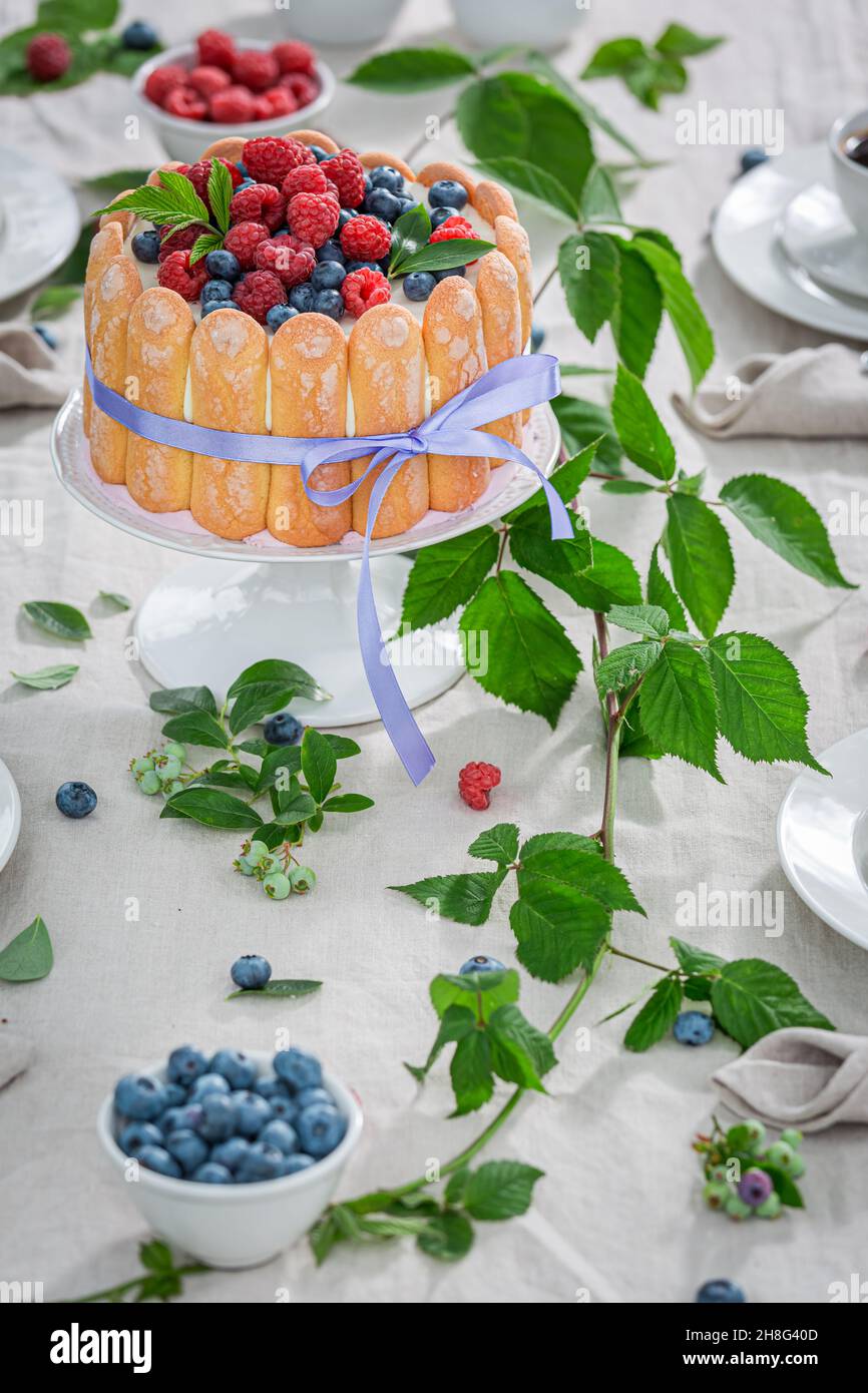 Dolce dessert estivo con biscotti e bacche nel giardino estivo dessert e caffè nel giardino estivo. Foto Stock
