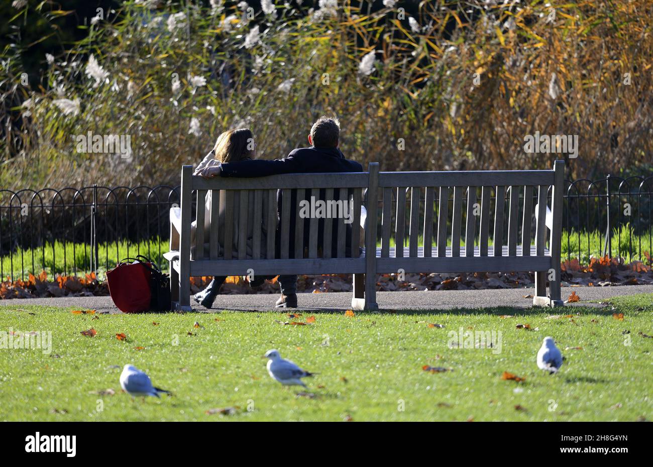 Lond, Regno Unito. 25 novembre 2021. Freddo ma soleggiato nel St James's Park. Una coppia su una panca vicino ai letti di canna Foto Stock