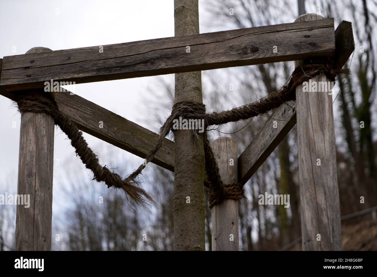 Attrezzo di legno che protegge un albero giovane nel parco dalla caduta Foto Stock