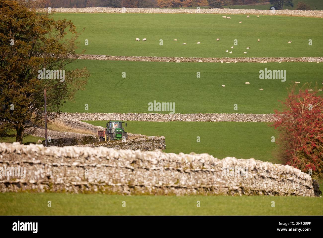 Penrith Campagna, Shap Un trattore John Deere SI SNODA LENTAMENTE ATTRAVERSO IL MURO DI PIETRA DI CAMPAGNA CORSIE Foto Stock