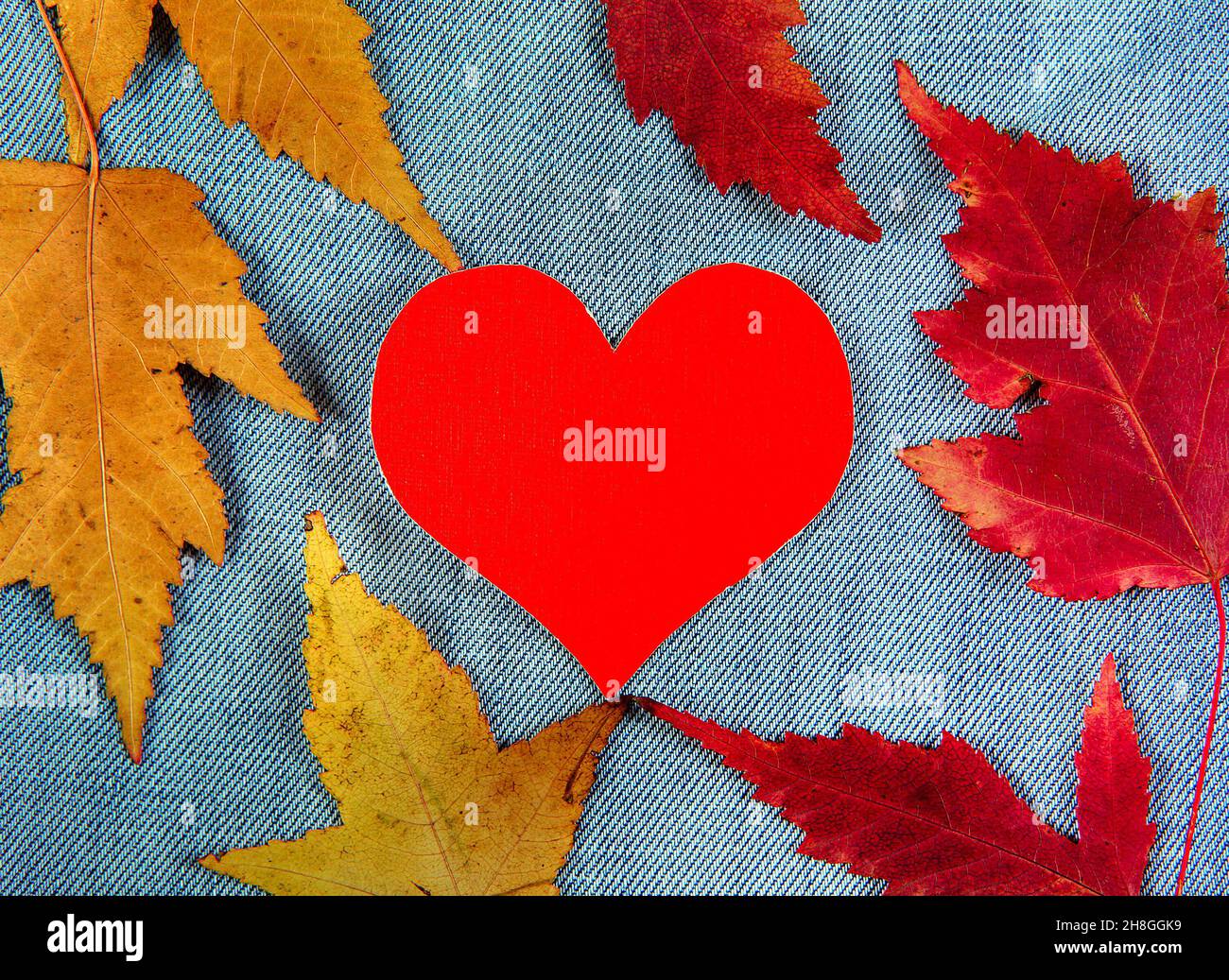 Foglie autunnali e forma del cuore sullo sfondo tessile Foto Stock