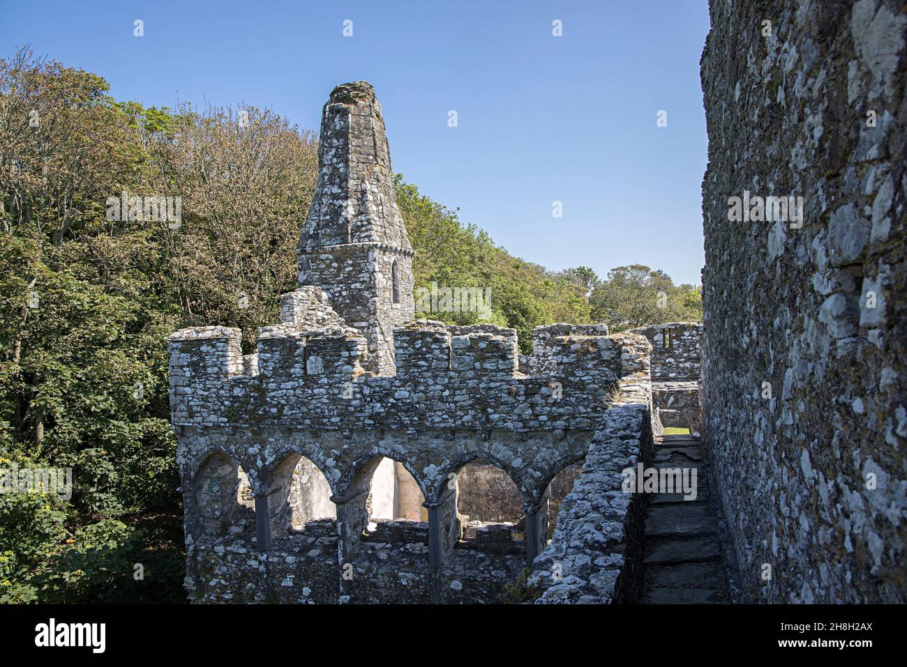 Tetto della Cappella con il Belfry, Palazzo del Vescovo, St Davids, Pembrokeshire, Galles, REGNO UNITO Foto Stock