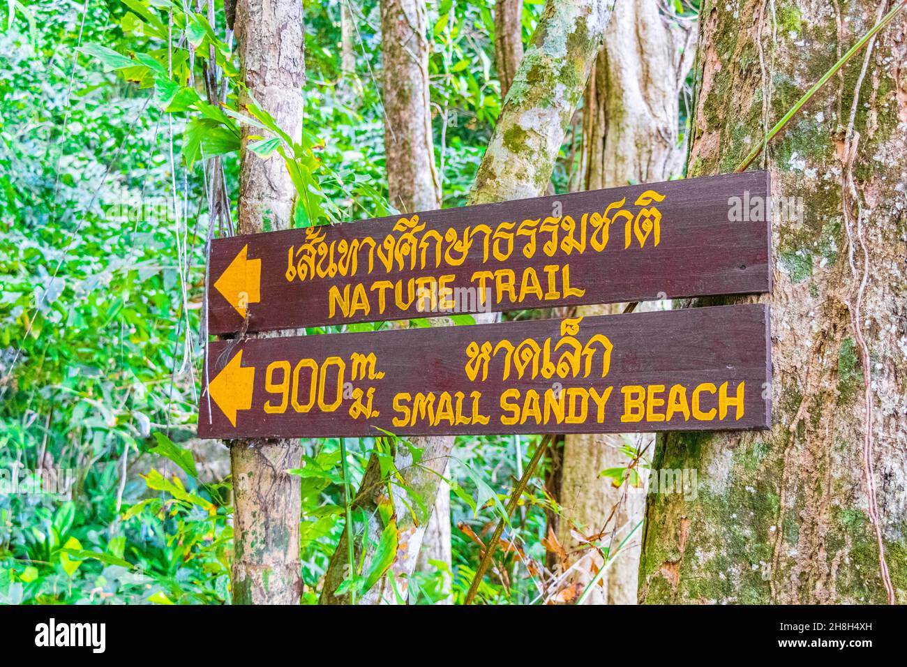 Khao Lak Thailandia 09. Febbraio 2020 frecce direzionali in legno e pannelli informativi nel Lam RU Lamru Nationalpark a Khao Lak Phang-nga Thailandia. Foto Stock