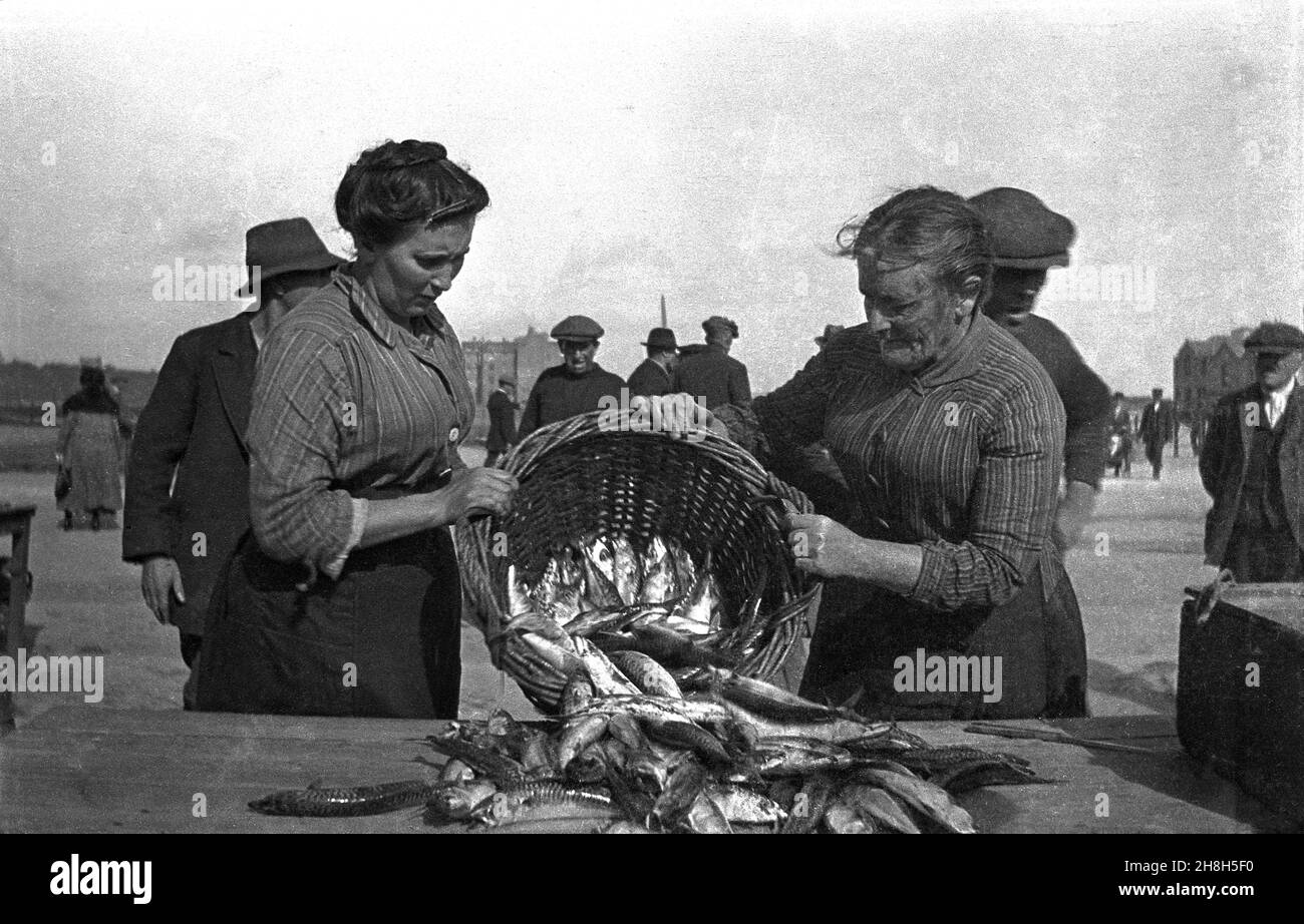 Circa 1910, storico, due donne, lavoratori portuali, ribaltando un cestino di pesce fresco su un tavolo in un porto, Inghilterra, Regno Unito. Foto Stock