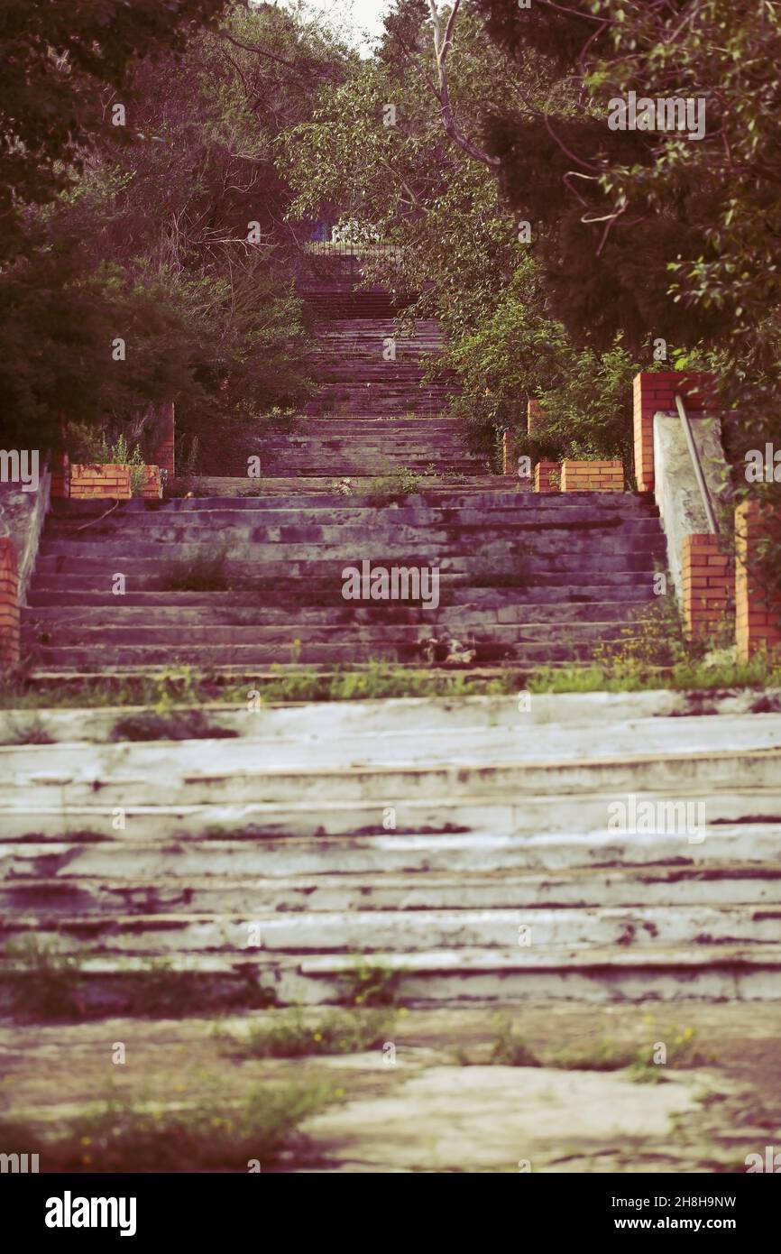 Scalinata erbosa in cemento nel vecchio parco urbano. Foto Stock