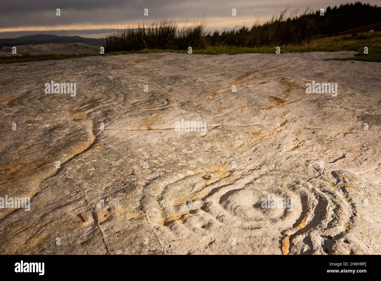 Arte rupestre neolitica a Chatton Park Hill a Northumberland, Regno Unito Foto Stock