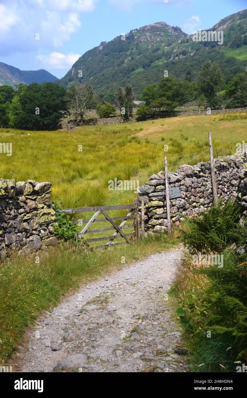 "King's How" sul Wainwright "Grange Fell" da Track a Rotthwaite a Borrowdale, Lake District National Park, Cumbria, Inghilterra, Regno Unito. Foto Stock
