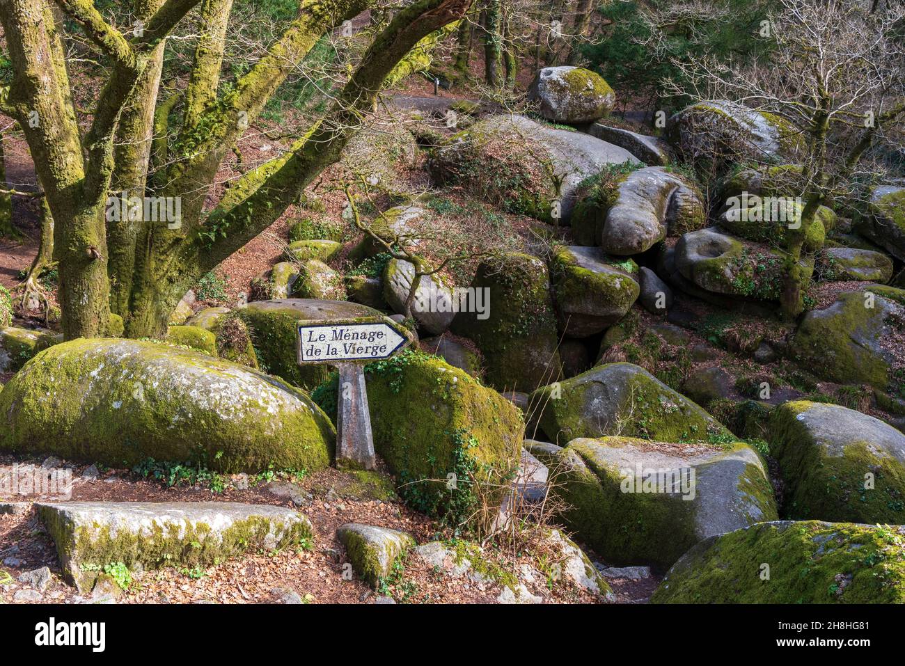 Francia, Finistere, parco naturale regionale di Armorique, Huelgoat, rocce granitiche della foresta di Huelgoat, sito del Menage de la Vierge Foto Stock