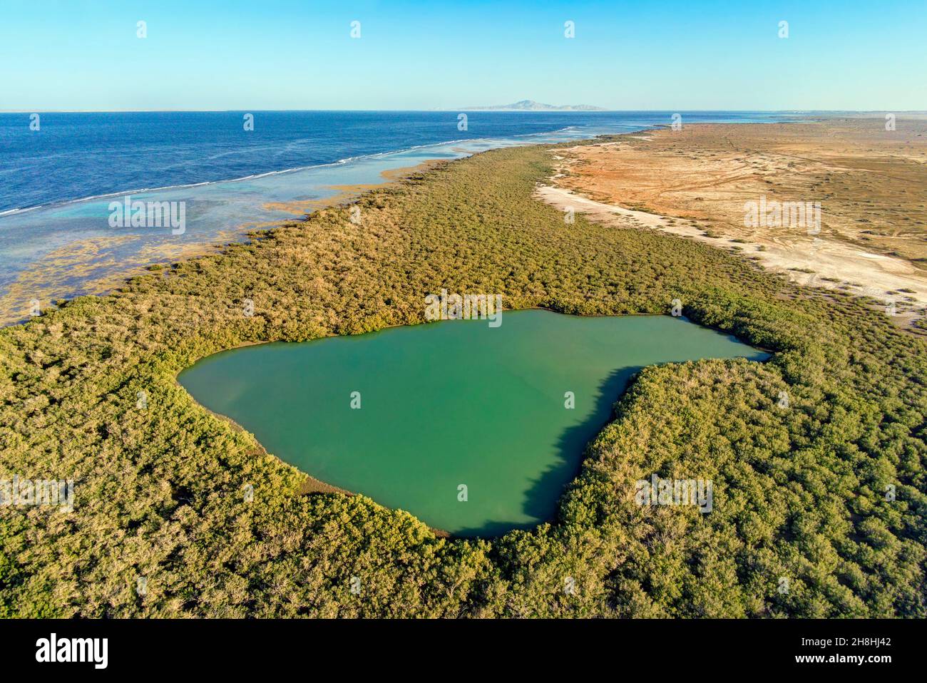 Egitto, Sinai, Sharm-el-Sheikh, area protetta di Nabq, mangrovie (vue aérienne) Foto Stock