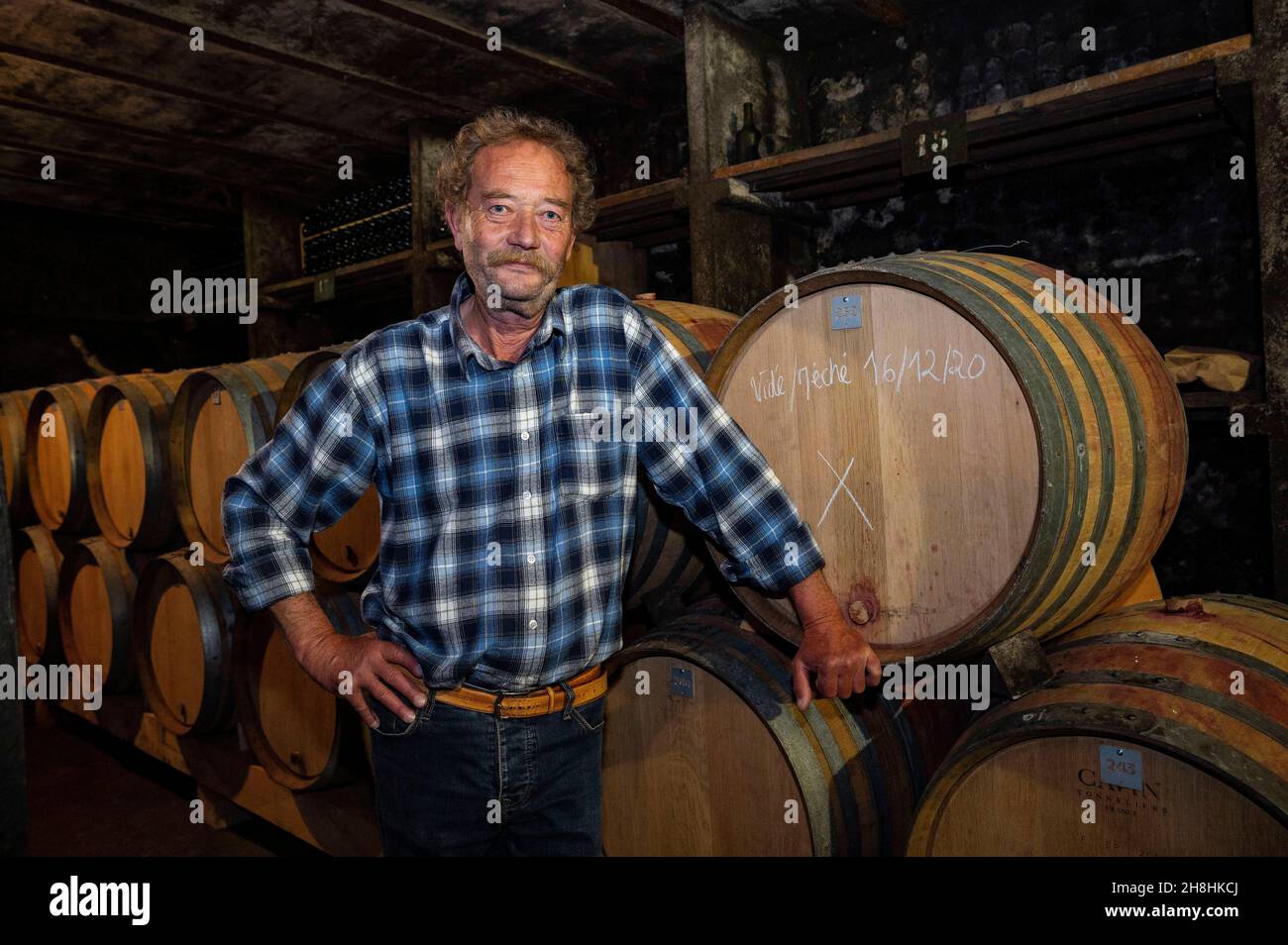 Francia, Giura, Arlay, viticoltore biodinamico Jean Bourdy nella sua cantina ad Arlay, vi sono immagazzinati oltre 300 anni di annate Foto Stock