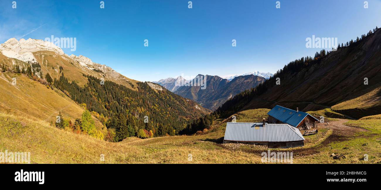 Francia, Savoia, massiccio e parco naturale regionale di Les Bauges, col de Tamié, il Drison, vista panoramica con da sinistra a destra la Pointe de la Sambuy (2198 m), Mont Charvin (2409m) e il massiccio del Monte Bianco sulla destra Foto Stock