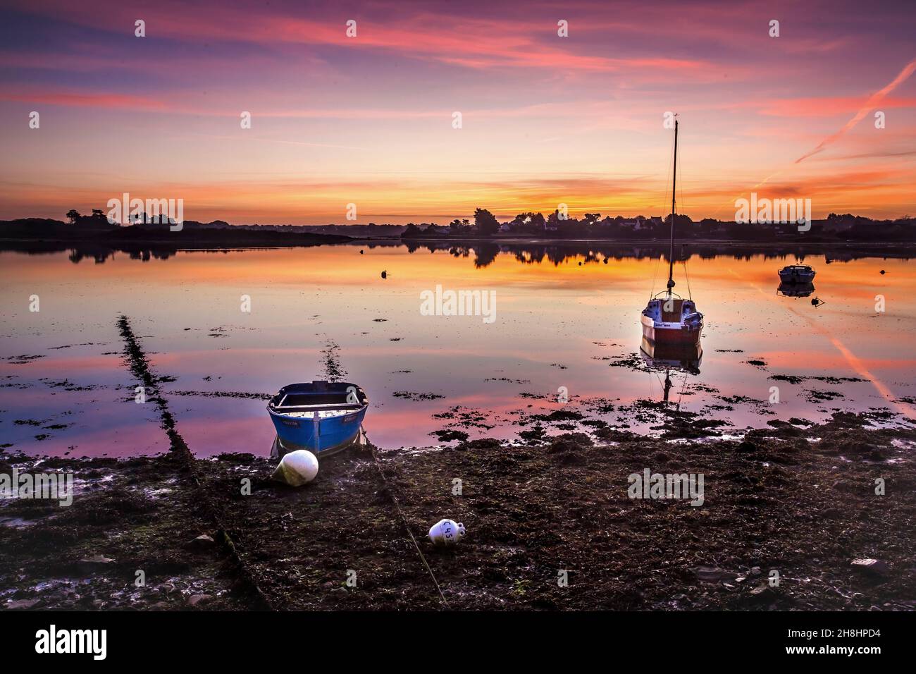 Francia, Morbihan (56), Ria d'Etel, Belz, Saint-Cado, Lumières au Lever du jour sur la rivière d'Etel Foto Stock