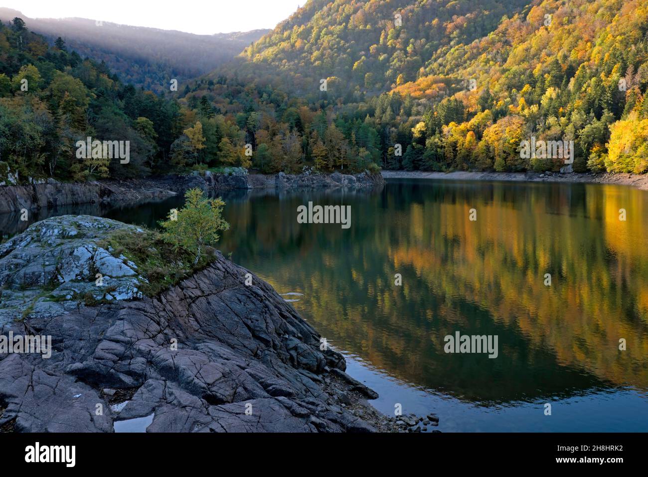 Francia, Alto Reno, Sewen, montagna Ballon d Alsace, Lago di Alfeld, foresta su scree, roccia striata, basso livello d'acqua dopo l'estate Foto Stock