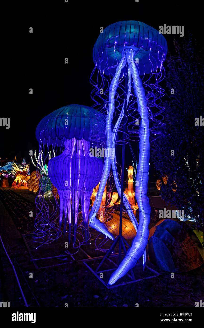 Parigi, Francia. 29 novembre 2021. Terza edizione del Jardin des Plantes Lantern Festival con il tema 'evoluzione nel processo di illuminazione'. Foto Stock