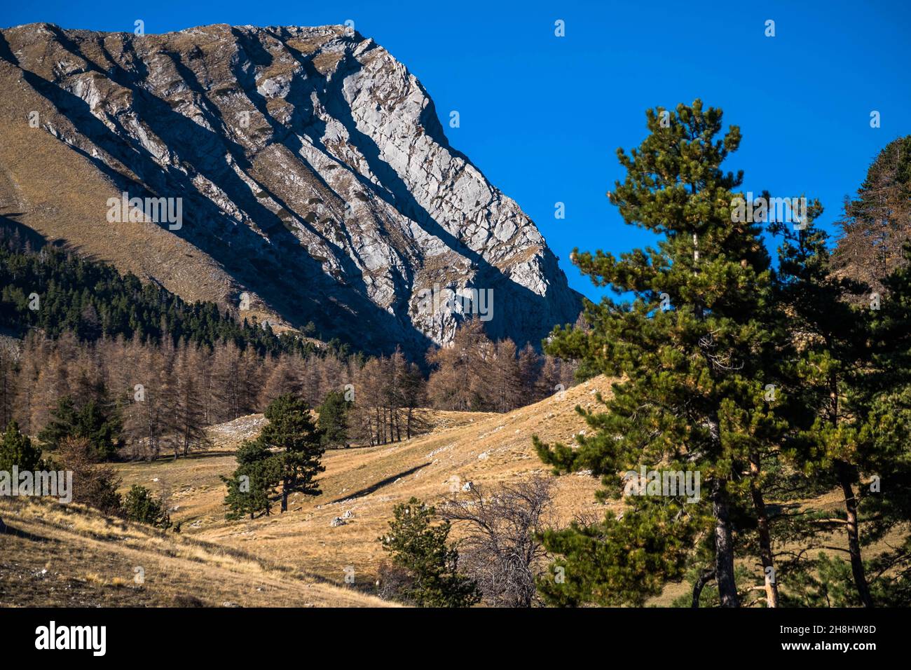 Francia, Hautes-Alpes, Gap, cresta di Gleize ago, confine tra Champsaur e Dévoluy Foto Stock