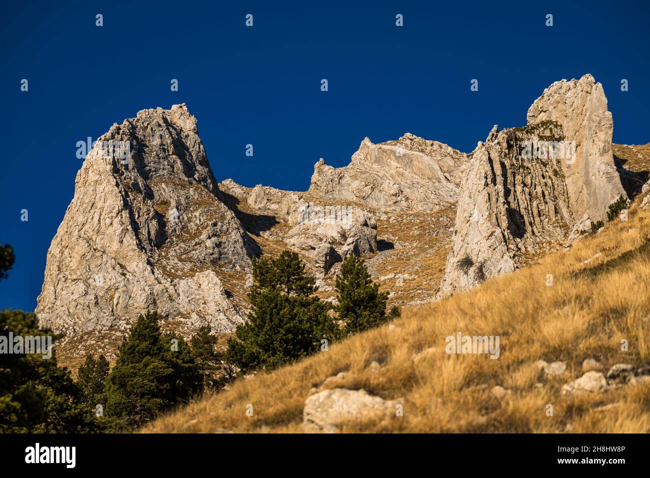 Francia, Hautes-Alpes, Gap, cresta del picco di Gleize, confine tra Champsaur e Dévoluy, Chaudun montagna Foto Stock