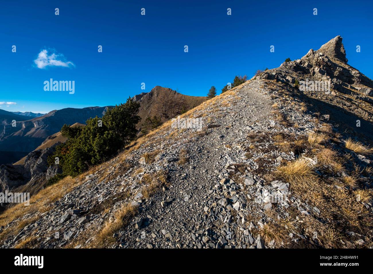 Francia, Hautes-Alpes, Gap, cresta di Gleize picco, confine tra Champsaur e Dévoluy Foto Stock