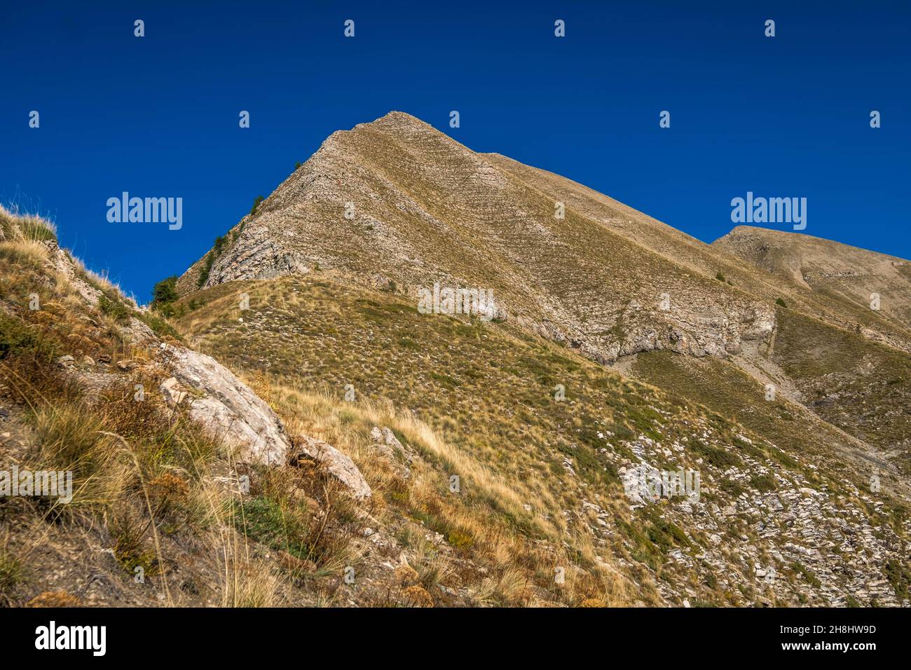 Francia, Hautes-Alpes, Champsaur, Saint-Léger les Mélèzes, Petite Autane, I denti di Cuchon Foto Stock