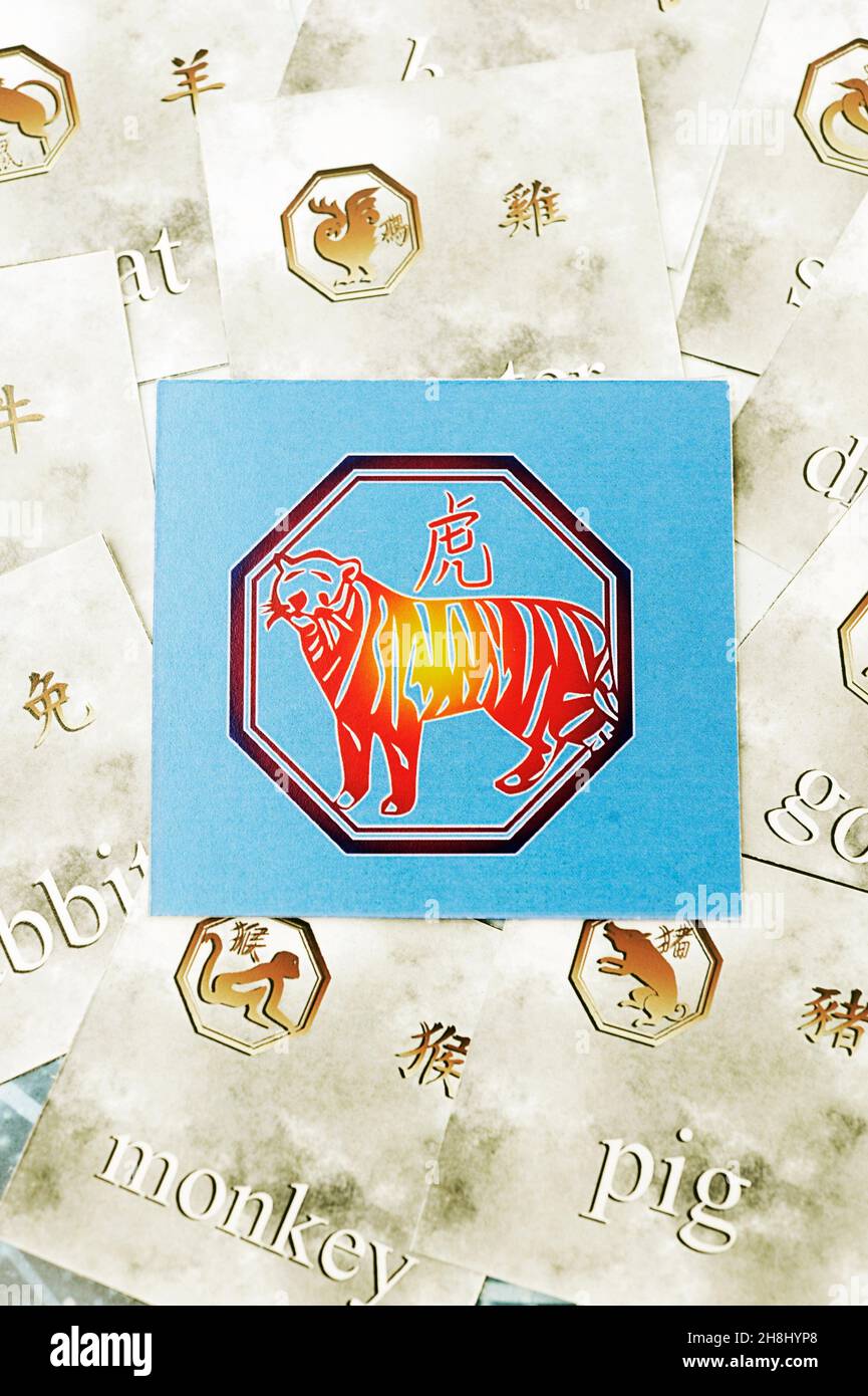 Segno cinese di astrologia della Tigre, anno della Tigre Foto Stock