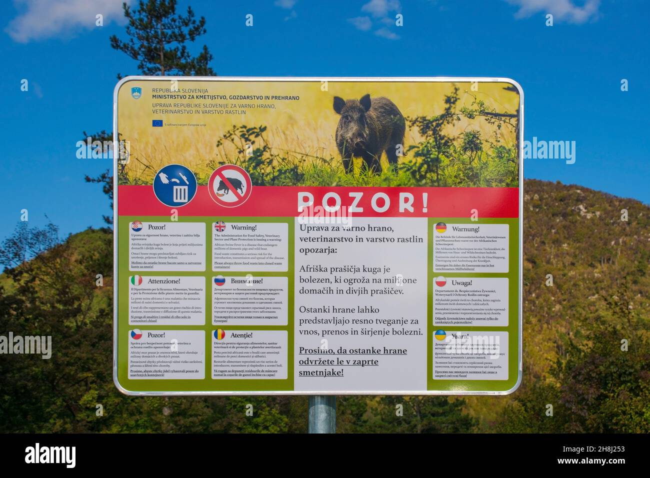 Nova Gorica, Slovenia - 23 ottobre 2021. Un avvertimento in 10 lingue sulla peste suina africana in un parcheggio ai piedi del Monte Skabrijel Foto Stock