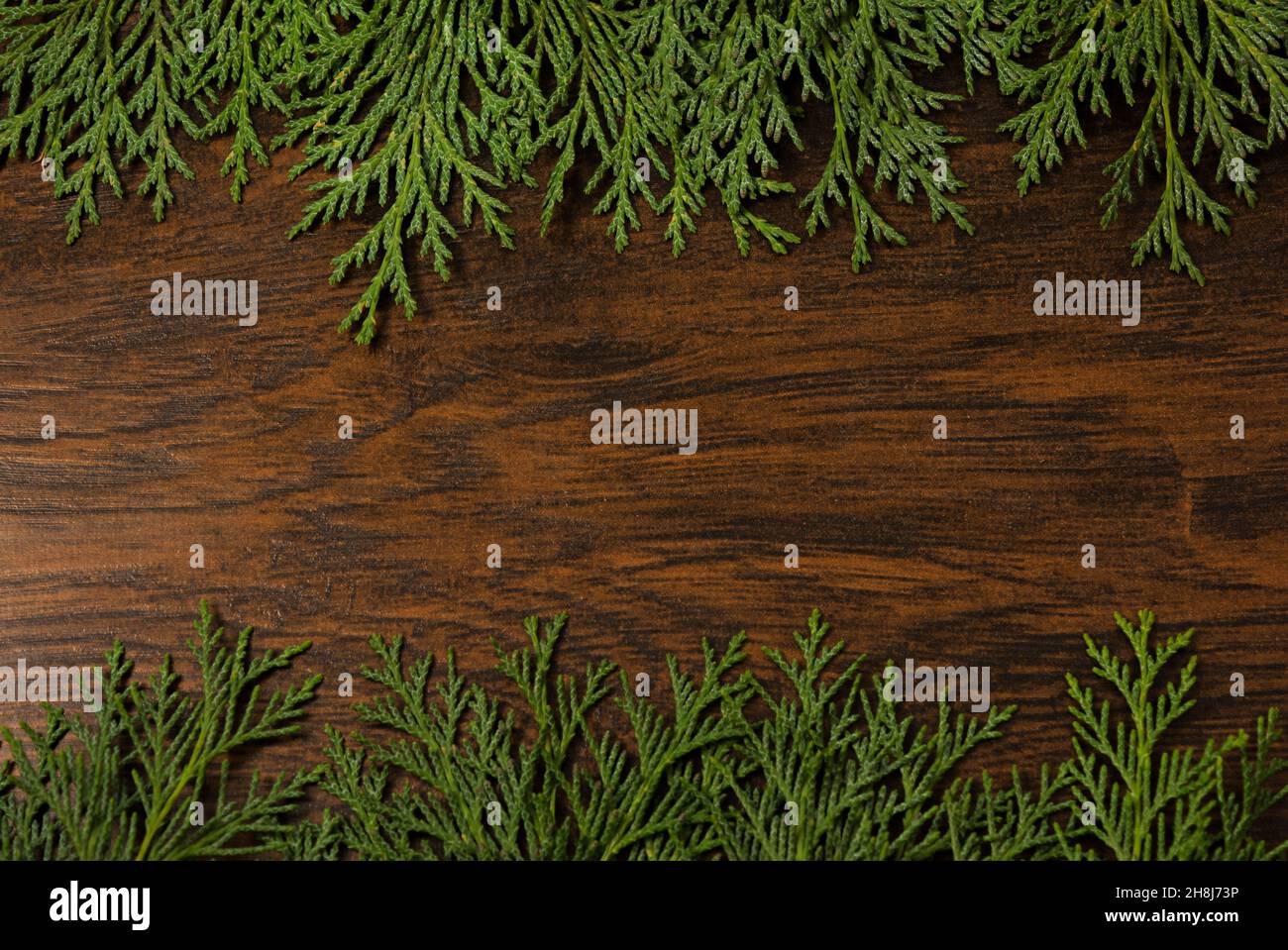 Cornice creativa layout, biglietto di auguri, fatto di rami di Natale Foto Stock