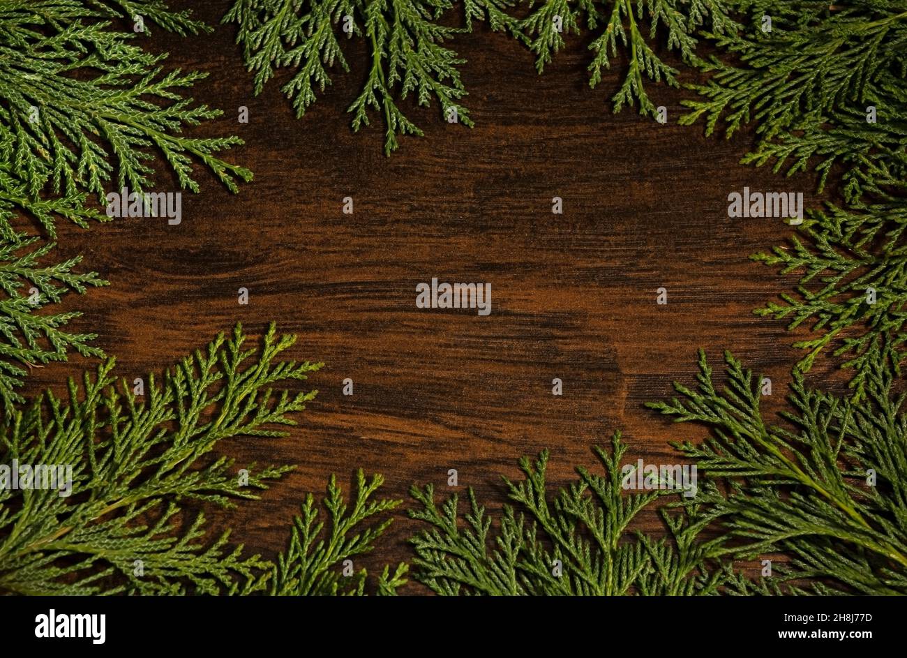 Cornice creativa layout, biglietto di auguri, fatto di rami di Natale Foto Stock