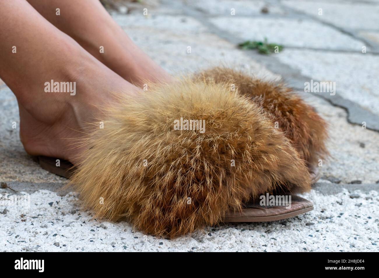 Fur slippers immagini e fotografie stock ad alta risoluzione - Alamy