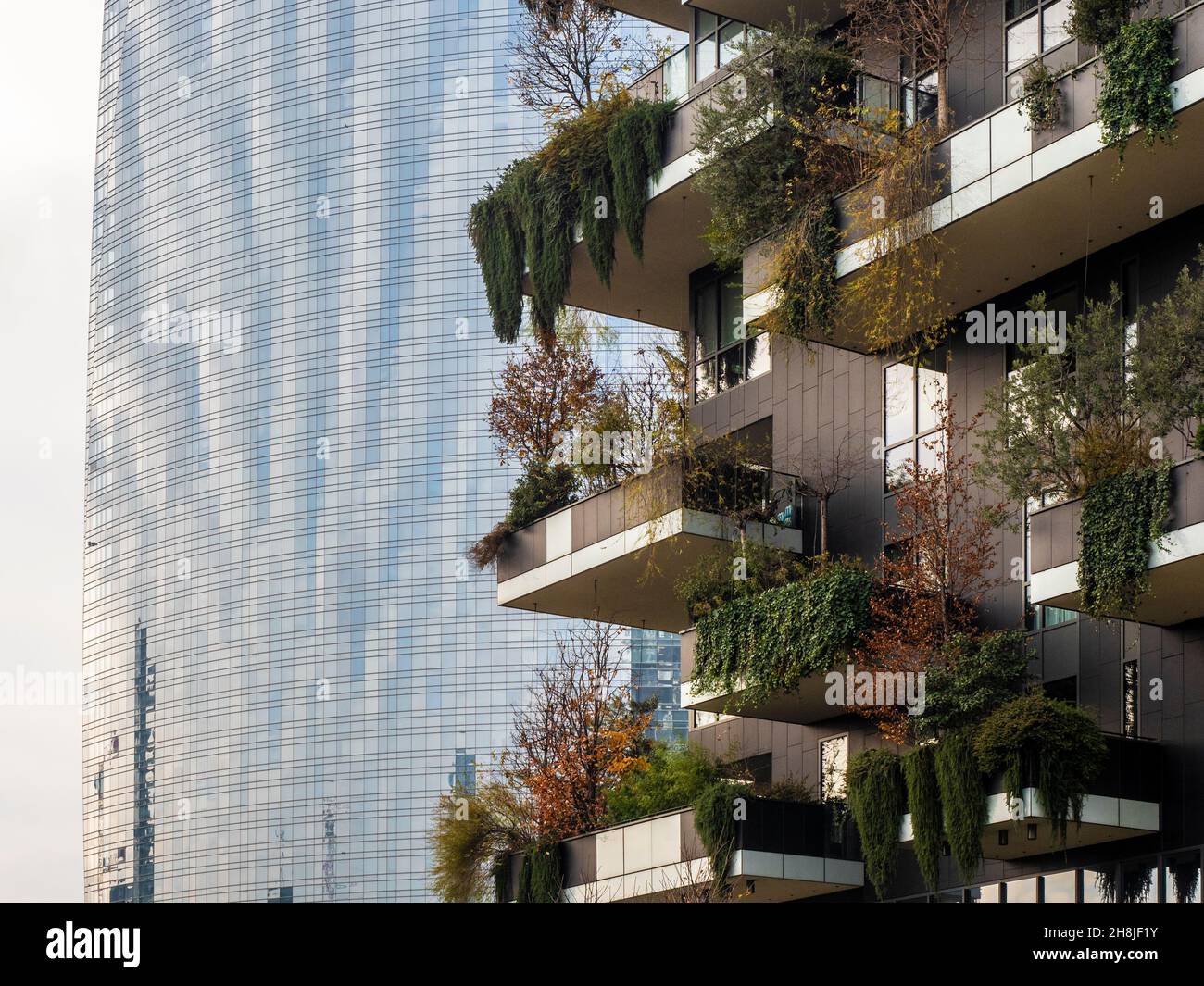 Particolare delle terrazze con piante dell'edificio forestale verticale della città italiana di Milano, Lombardia. Foto Stock