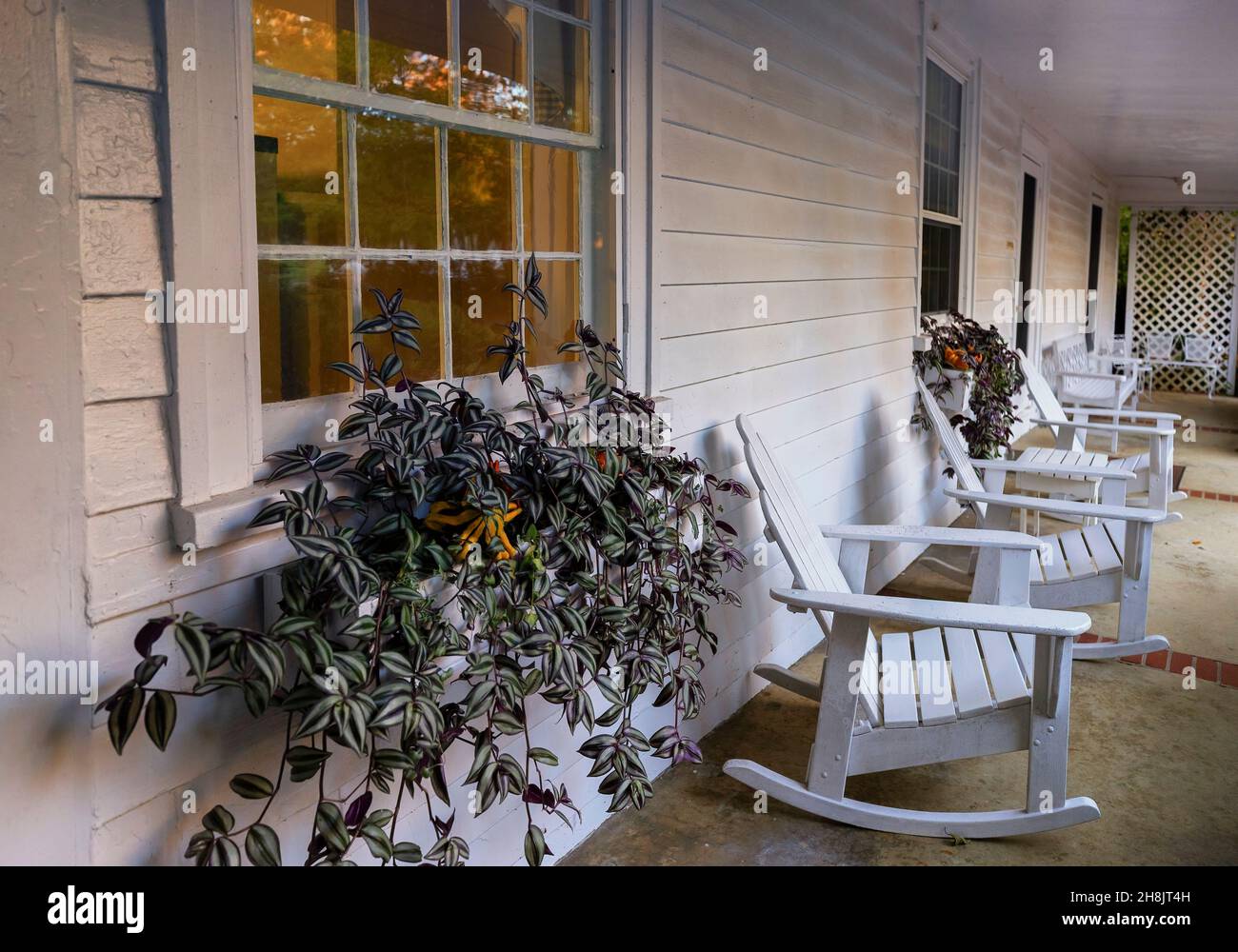 Kingsport, Tennessee, USA - 26 settembre 2021: Allandale Mansion e proprietà costruita nel 150 di proprietà di Harvey e Ruth Brooks che ha sollevato Black Angus Cat Foto Stock