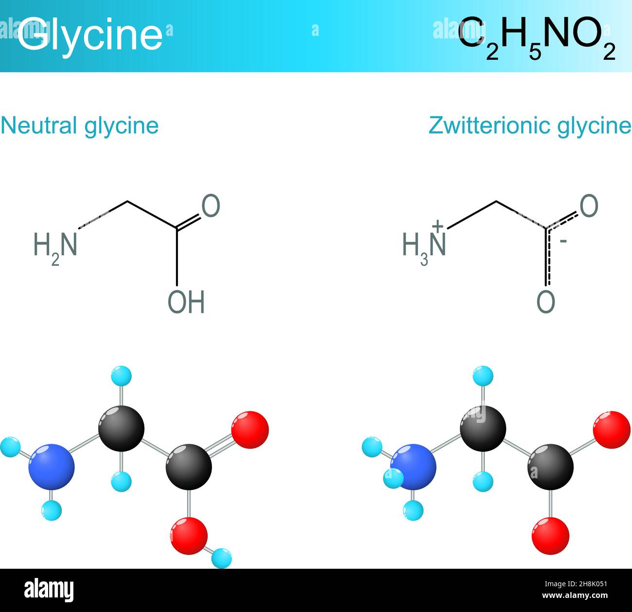 Formula molecolare della glicina. Glicina neutra e glicina zwitterionica. Formula chimica strutturale e modello di un aminoacido stabile più semplice. Vettore malato Illustrazione Vettoriale
