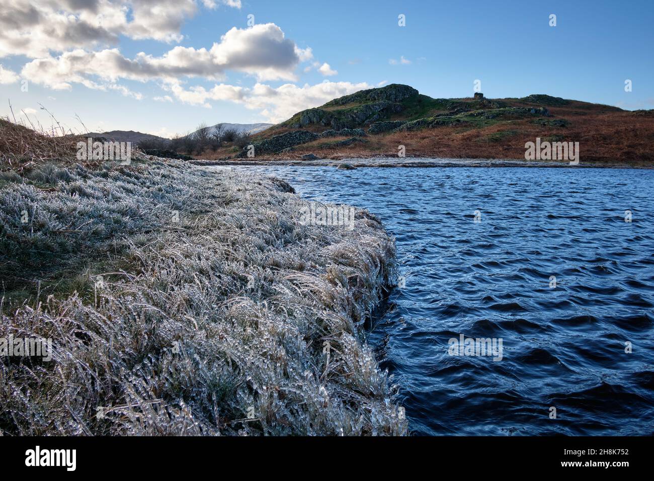 Ice Rime su erba e canne vicino a Lily Tarn, Loughrigg Fell, Lake District, Regno Unito Foto Stock