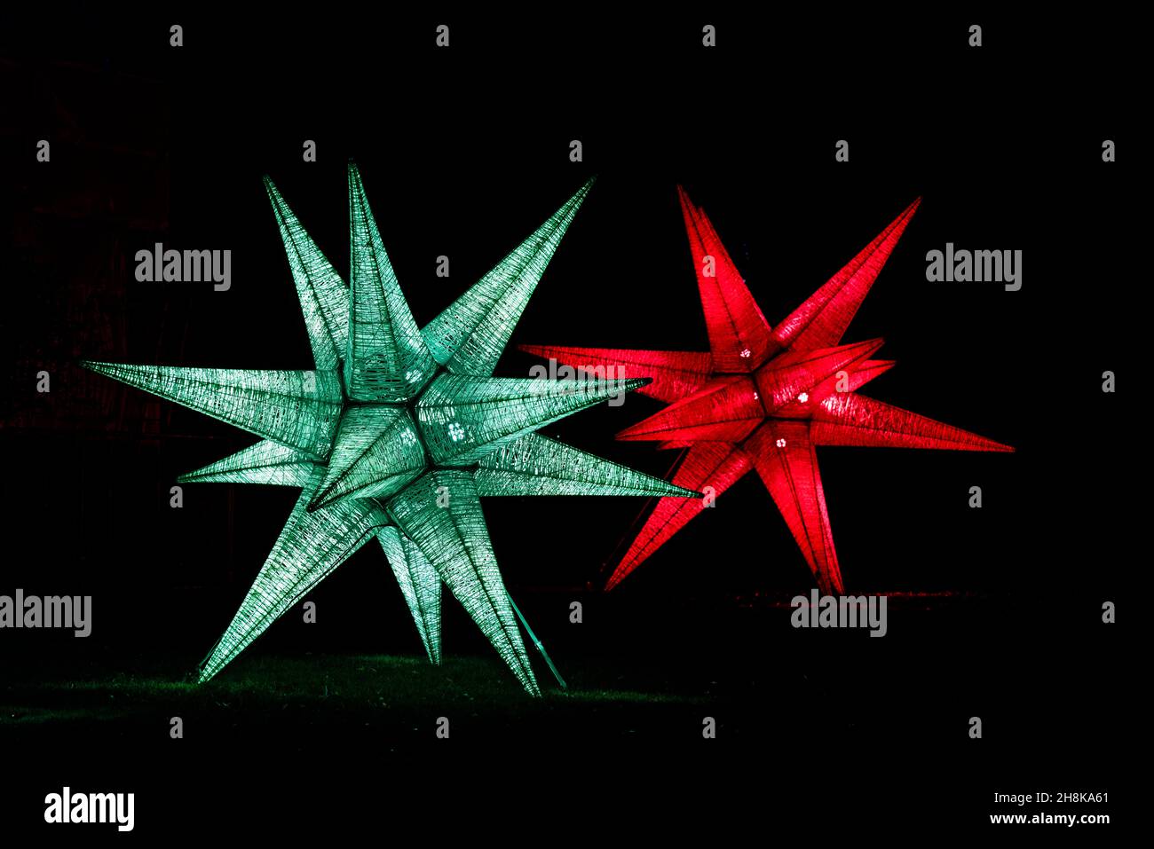 Stelle rosse e verdi illuminate a Glow 2021, l'evento annuale di luci natalizie al RHS Garden, Wisley, Woking, Surrey Foto Stock