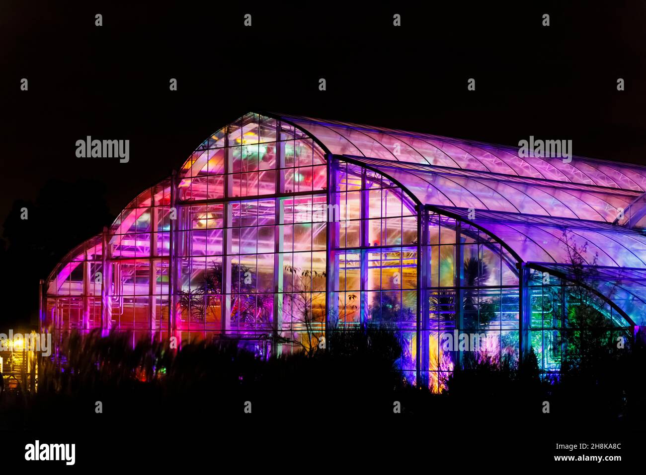 Il Glasshouse illuminato durante Glow 2021, l'evento annuale di illuminazione natalizia al RHS Garden, Wisley, Woking, Surrey Foto Stock