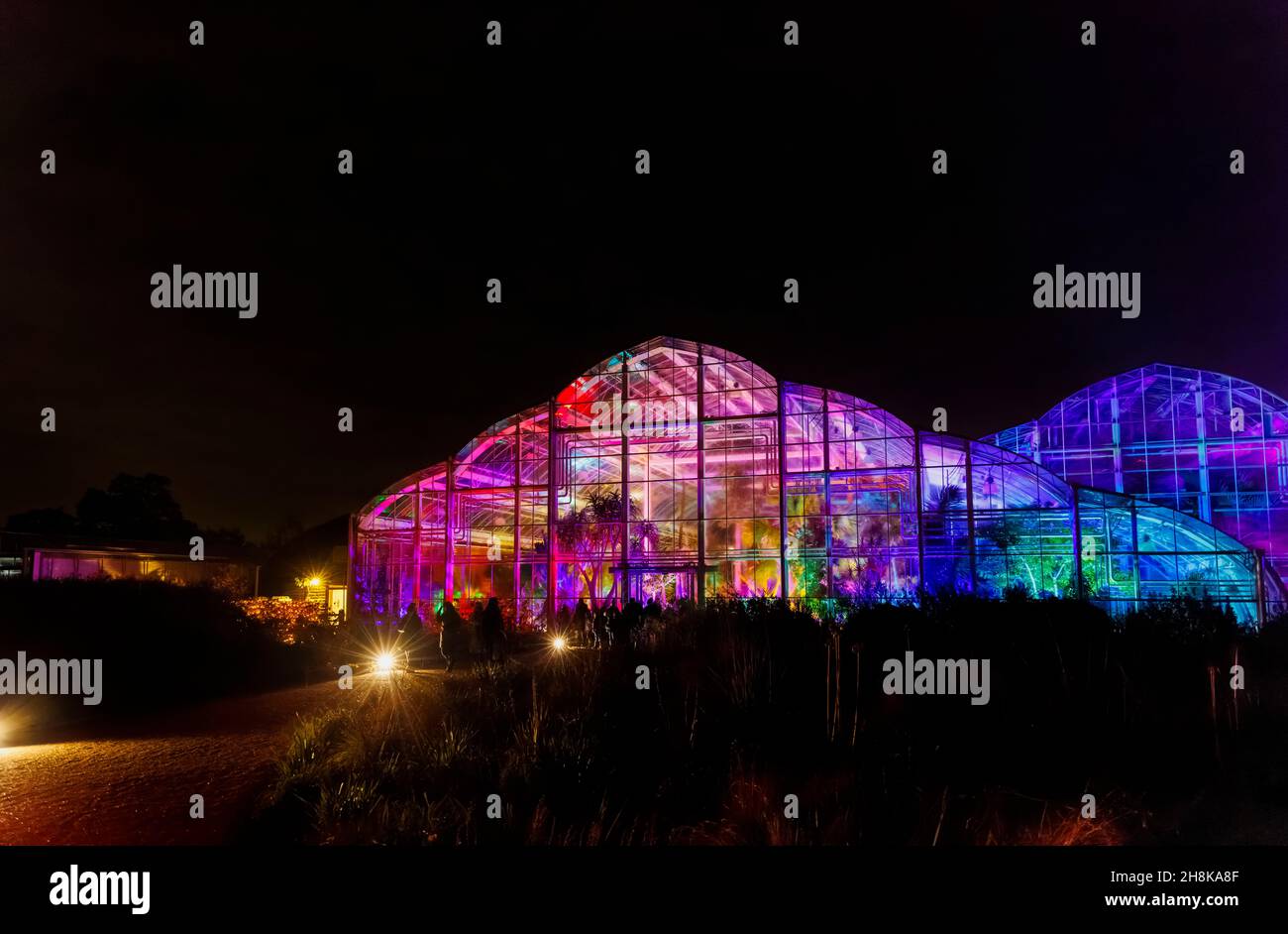 Il Glasshouse illuminato durante Glow 2021, l'evento annuale di illuminazione natalizia al RHS Garden, Wisley, Woking, Surrey Foto Stock