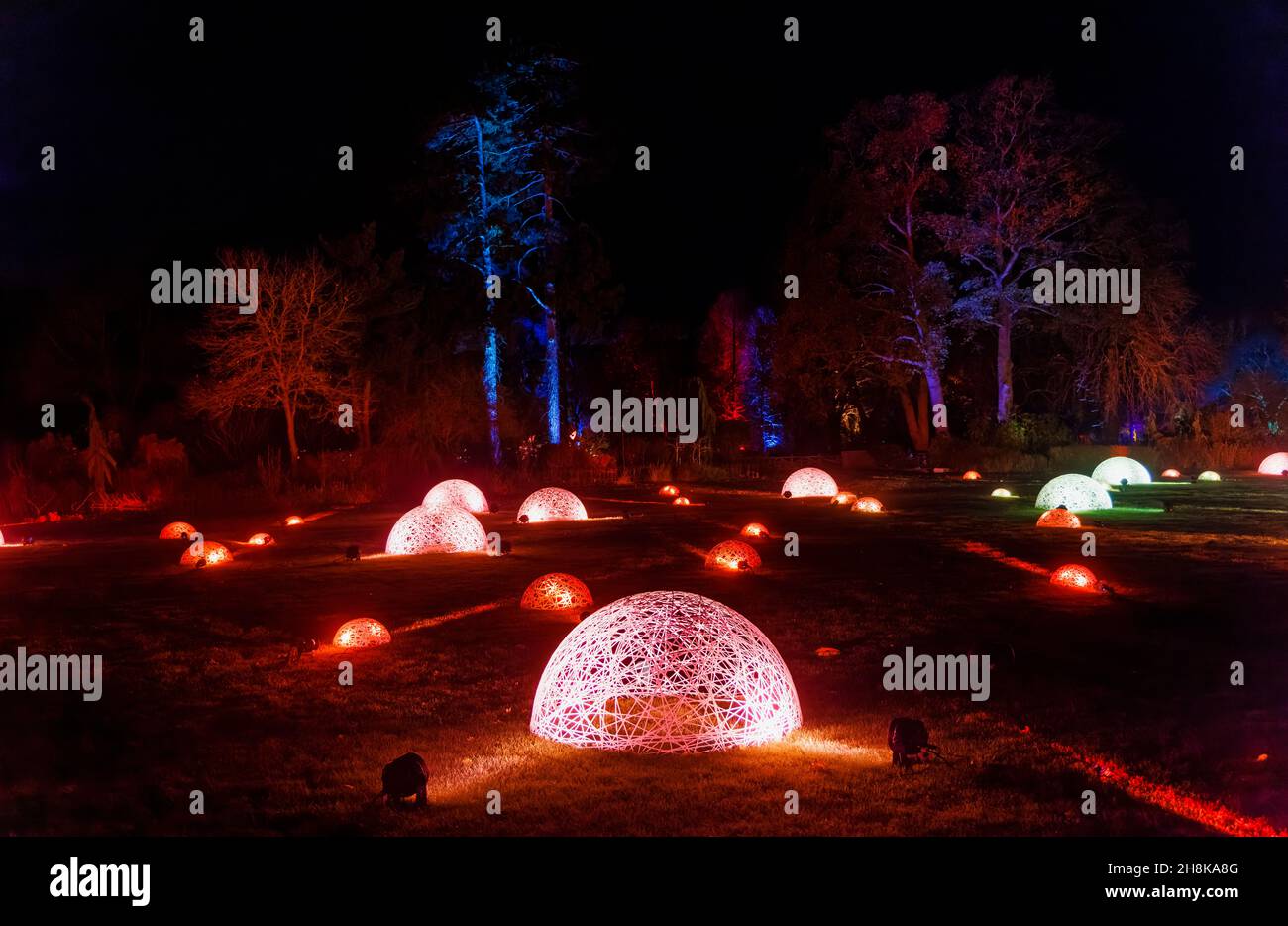 Cupole o globe colorate illuminate in vimini al Glow 2021, l'evento annuale di luci natalizie al RHS Garden, Wisley, Woking, Surrey Foto Stock