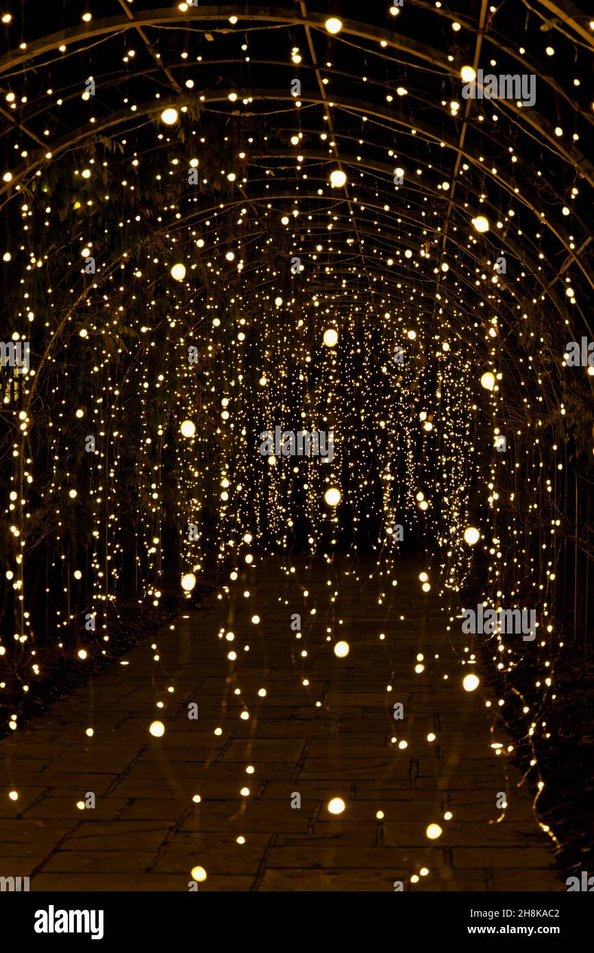 Arch con luci scintillanti al Glow 2021, l'evento annuale di luci natalizie al RHS Garden, Wisley, Woking, Surrey Foto Stock