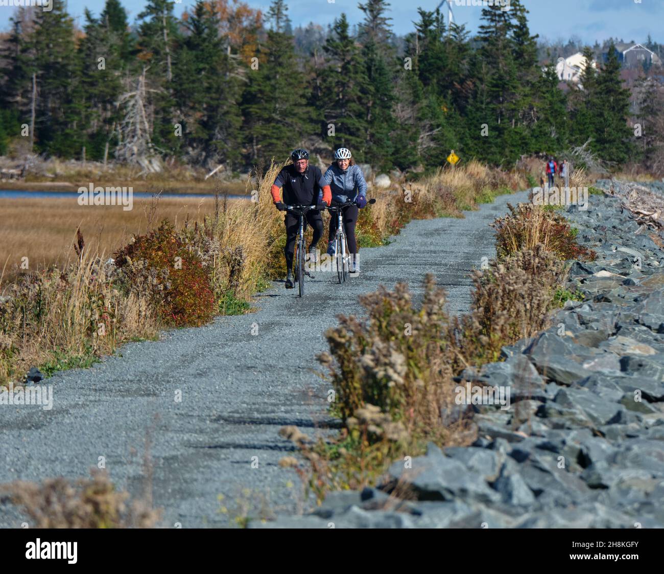 Due ciclisti che percorrono il sentiero Salt Marsh nel porto di Cole, nella regione di Halifax della Nuova Scozia Foto Stock