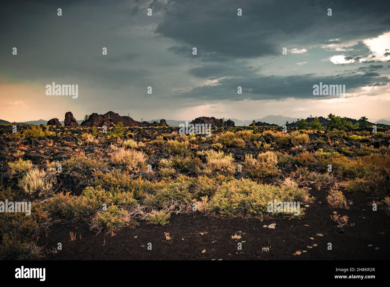 Vista dei campi ricoperti di lava e piante all'orizzonte, colline laviche, paesaggio vulcanico al Monumento Nazionale e Crater Reserve of the Moon Foto Stock