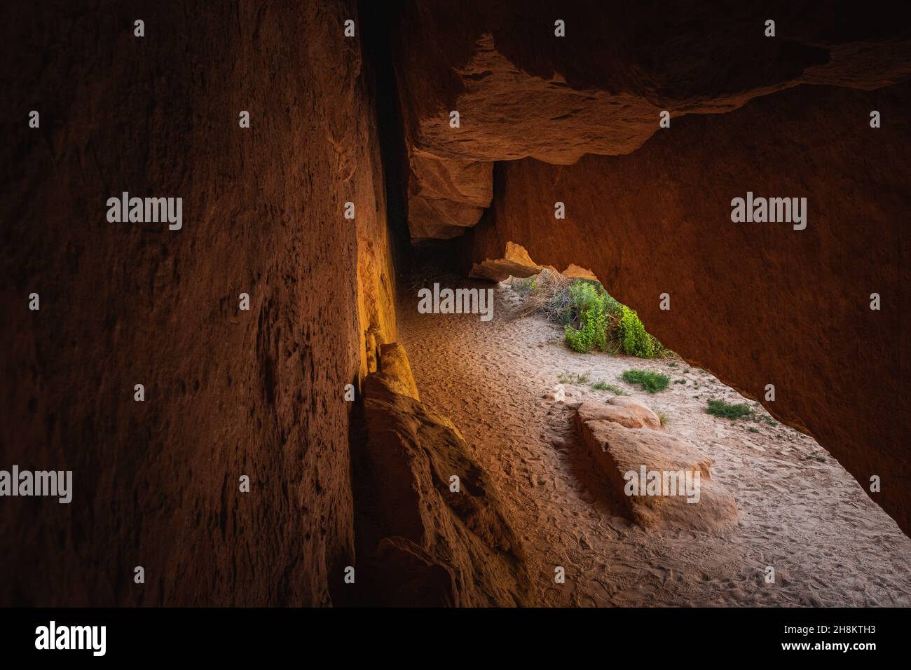 Ammira la grotta Whispering nel campeggio Echo Park, il Dinosaur Nation Monument, Utah e Colorado, USA Foto Stock