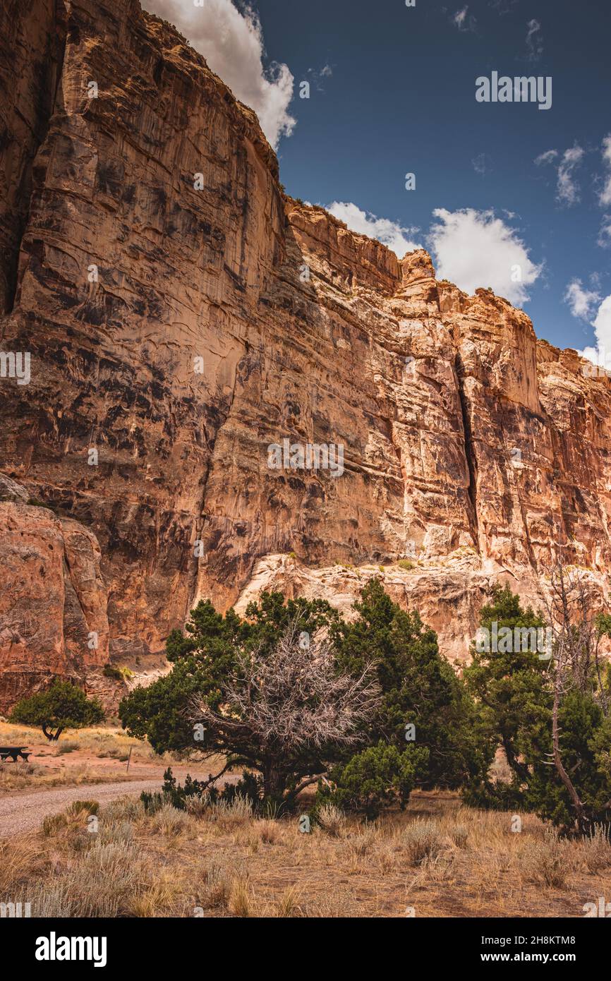 Foto di paesaggio su uno sfondo di pietra a Echo Park Campground, Dinosaur Nation Monument, Utah e Colorado, USA Foto Stock