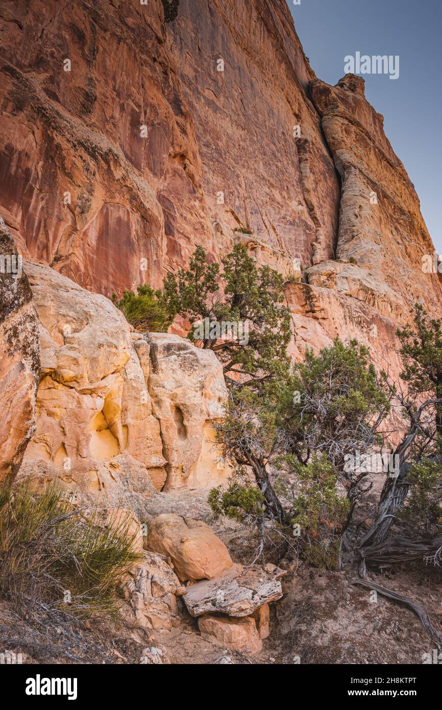 Foto di paesaggio su uno sfondo di pietra a Echo Park Campground, Dinosaur Nation Monument, Utah e Colorado, USA Foto Stock