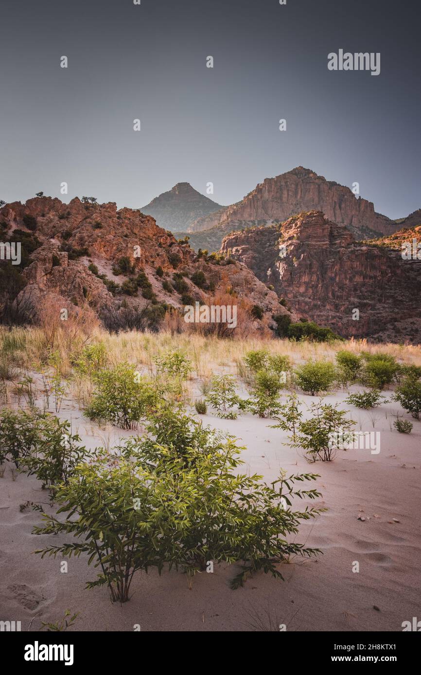 Foto di paesaggio su uno sfondo di pietra a Echo Park Campground, Dinosaur Nation Monument, Utah e Colorado, USA Foto Stock