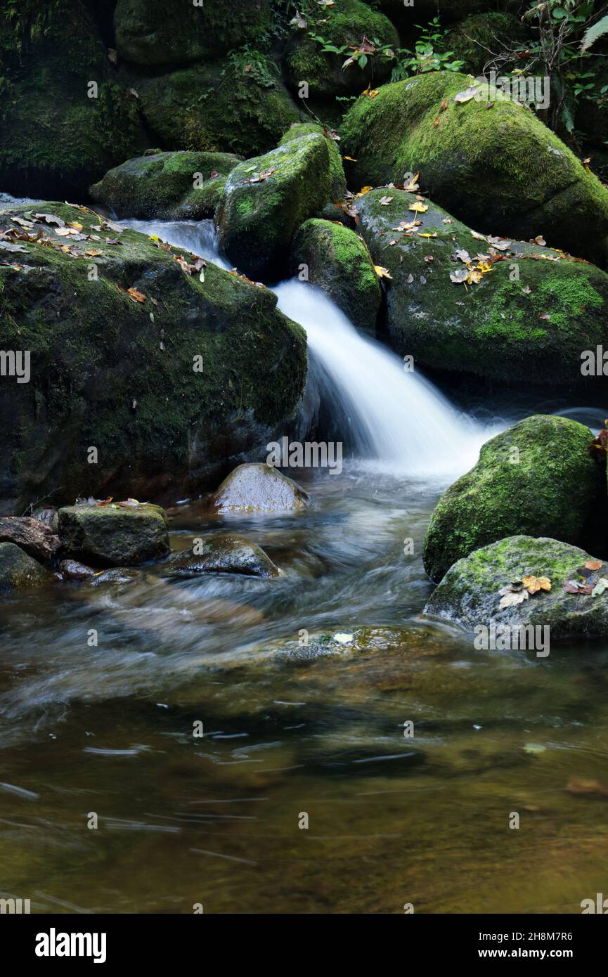 Acqua che precipita su rocce ricoperte di muschio in un piccolo ruscello in un giorno d'autunno nella Foresta Nera della Germania. Foto Stock