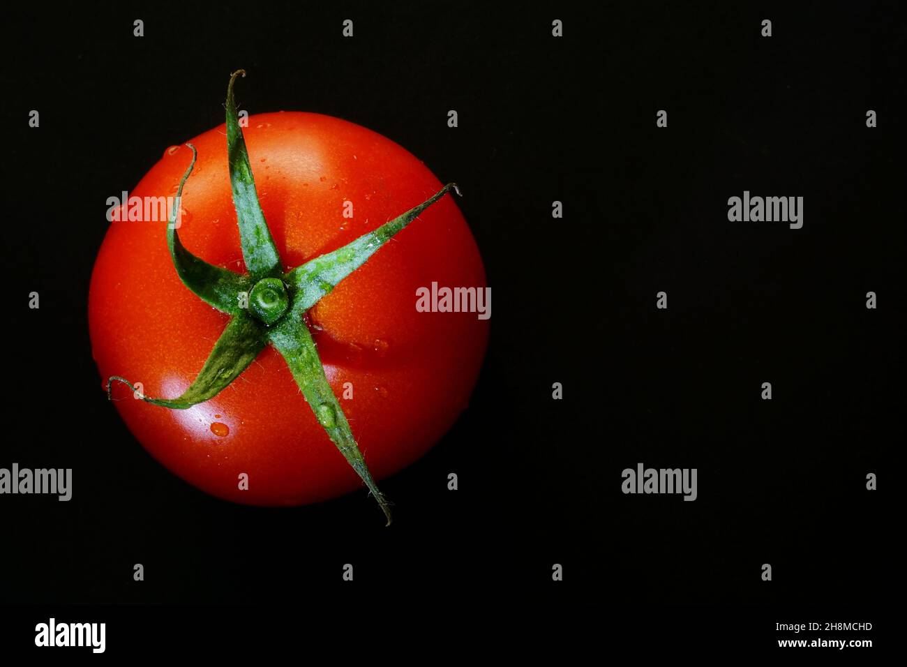 Pomodoro fresco isolato su sfondo nero con spazio copia Foto Stock