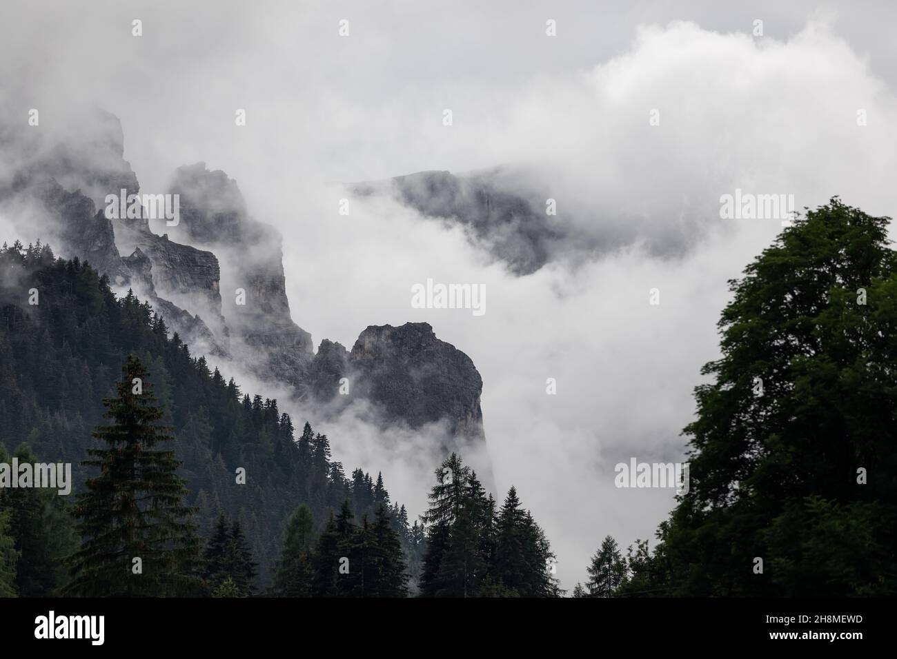 Le Dolomiti italiane circondate da boschi sono ricoperte di fitta nebbia dopo la pioggia Foto Stock
