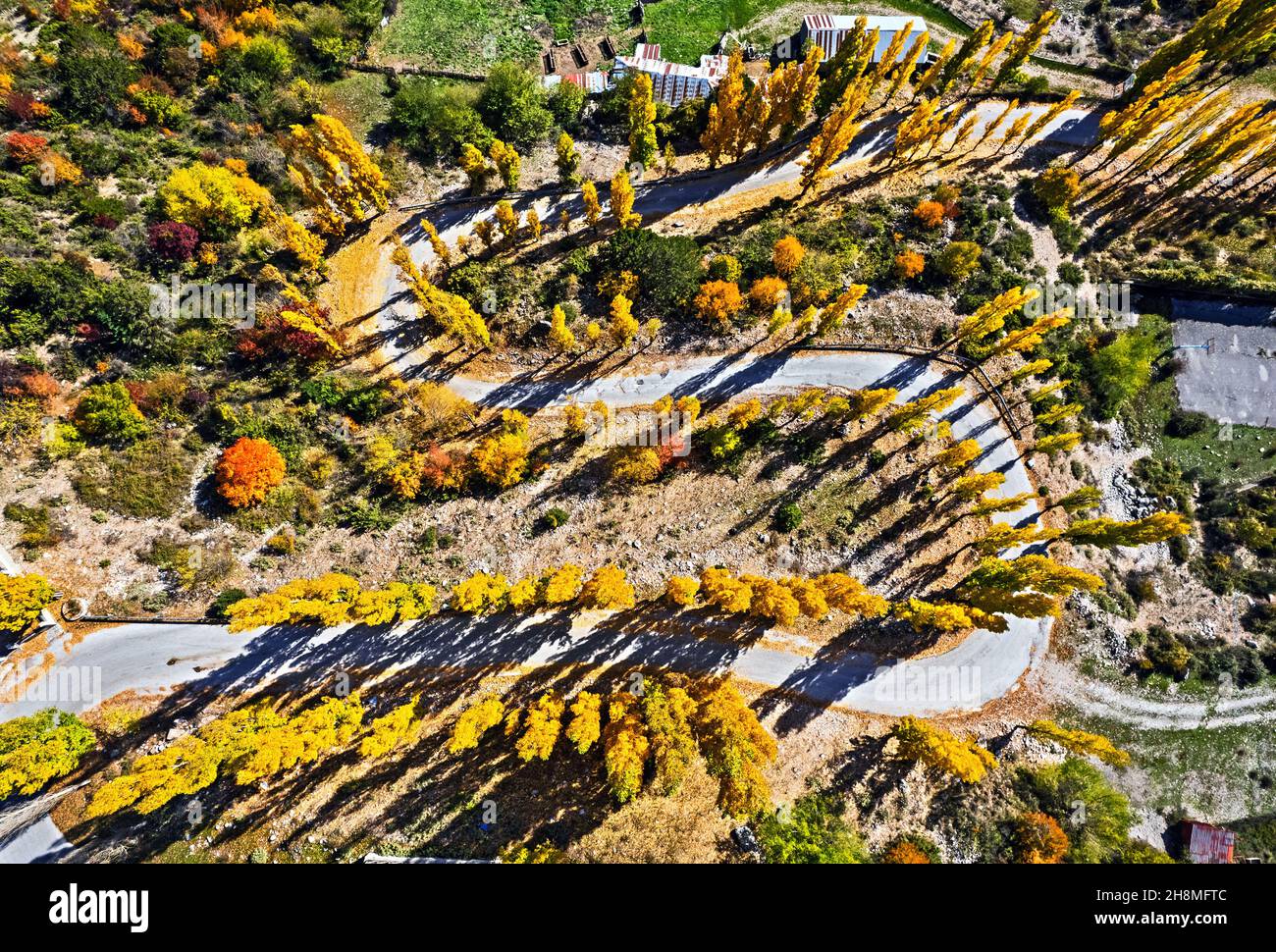 (Autunnale) Dream su Elm Street. Vicino al villaggio di Gardiki, Aspropotamos, Trikala, Grecia. Foto Stock