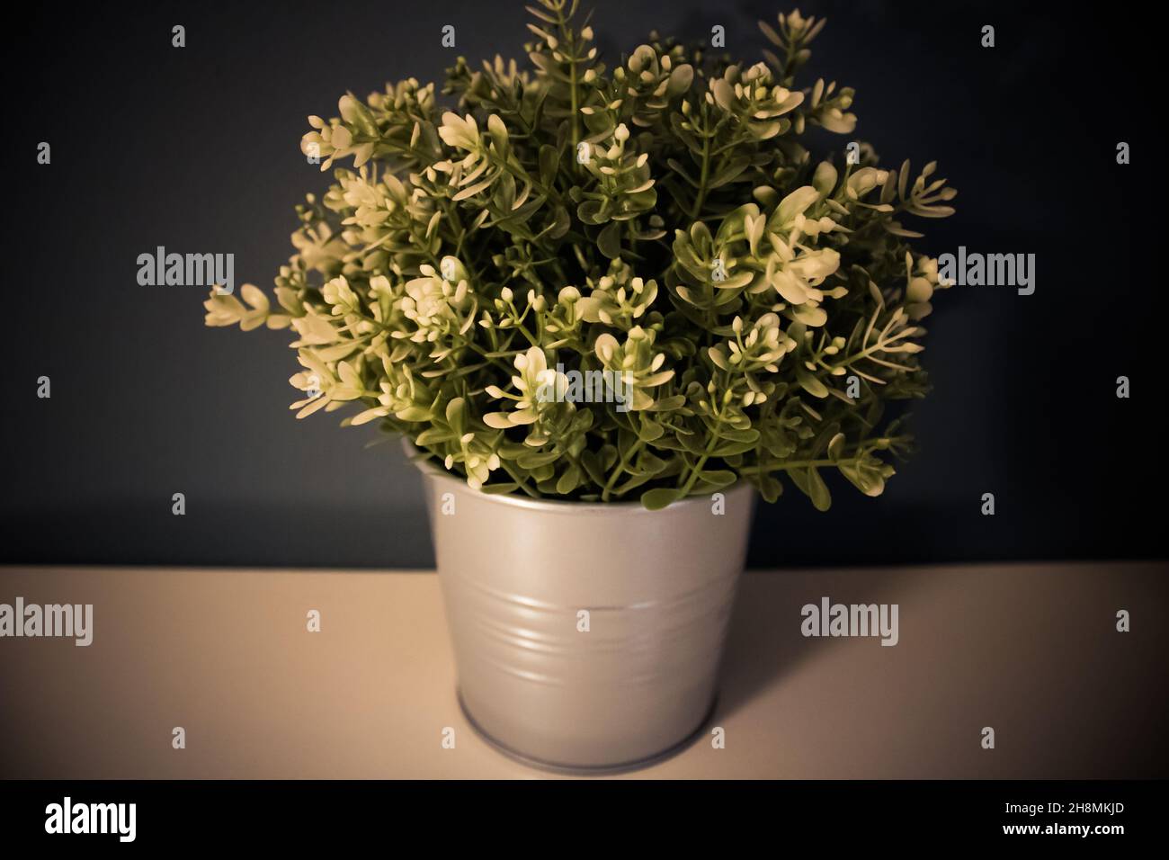 una pianta artificiale su un tavolo bianco in vaso grigio su sfondo blu. piante nelle camere. interni oggetti di design Foto Stock