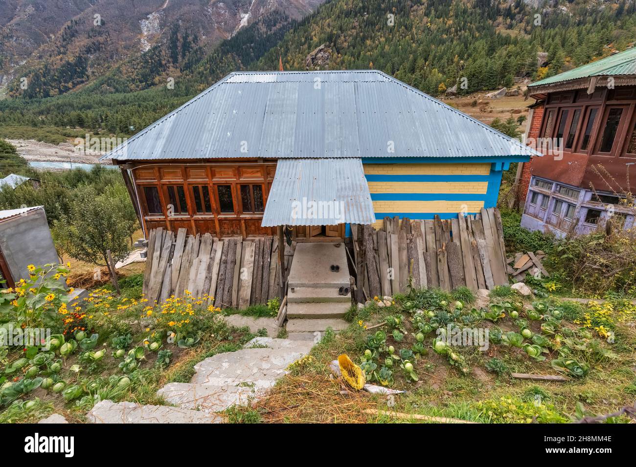 Casa rurale villaggio sui pendii di montagna con piante vegetali nel giardino adiacente a Rakchham vicino Sangla Himachal Pradesh India Foto Stock